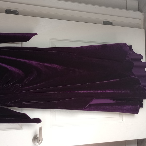 PYRAMID COLLECTION RENAISSANCE ELEGANT DEEP PURPLE VELVET MAXI DRESS SZ L - Picture 2 of 9